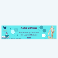 estructurayfunciondelcuerpo.milaulas.com